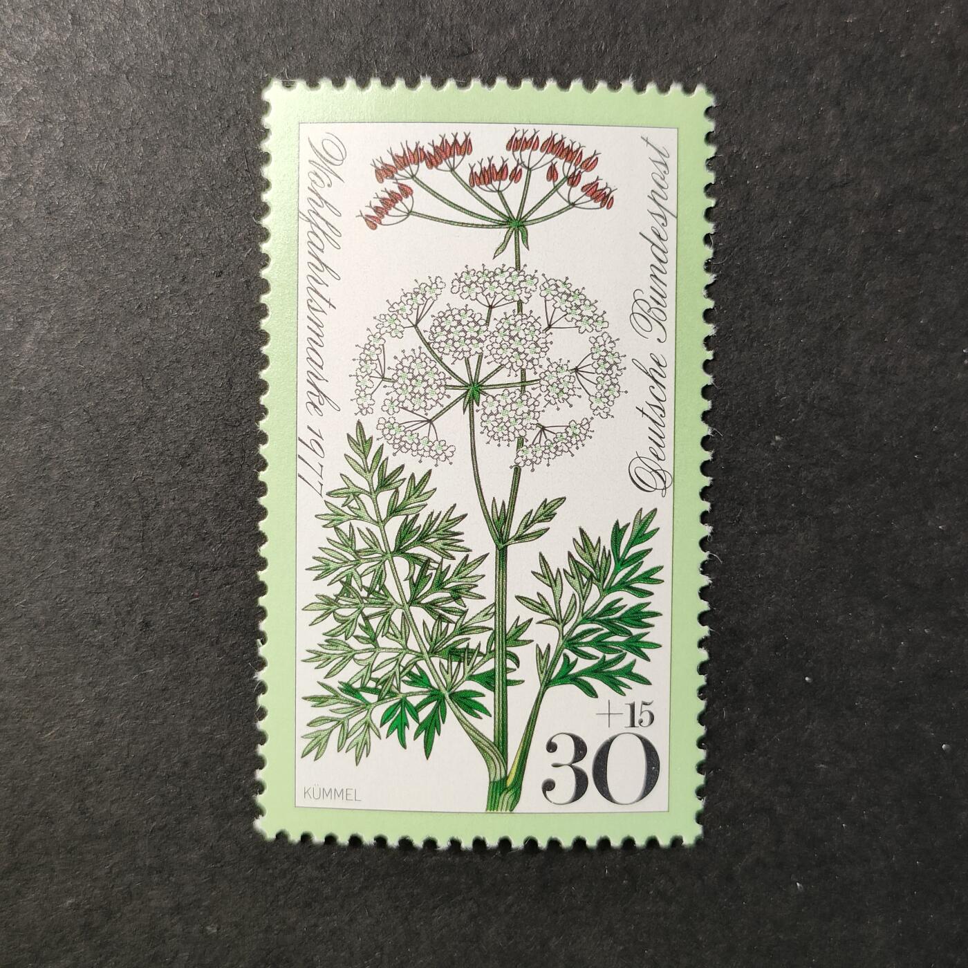 嘉禾收藏    【第398期】            无佣金、可寄存、满30元包邮 新票一枚