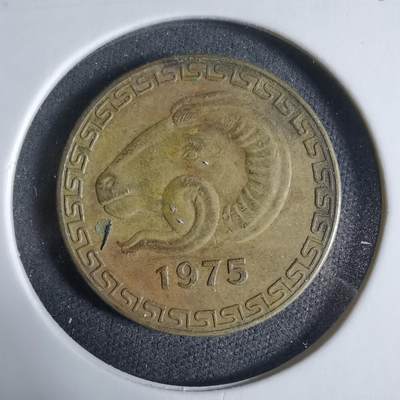 沼泽如烟--第923场 - 阿尔及利亚1975年20分