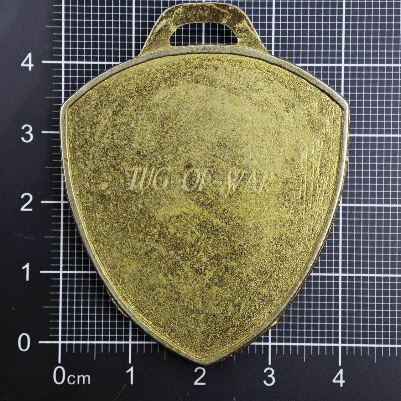 【淘币小摊】限时拍第八百二十三拍  纪念章场  满百包邮可预留两周  周一统一发货  威尔士民族活动纪念章