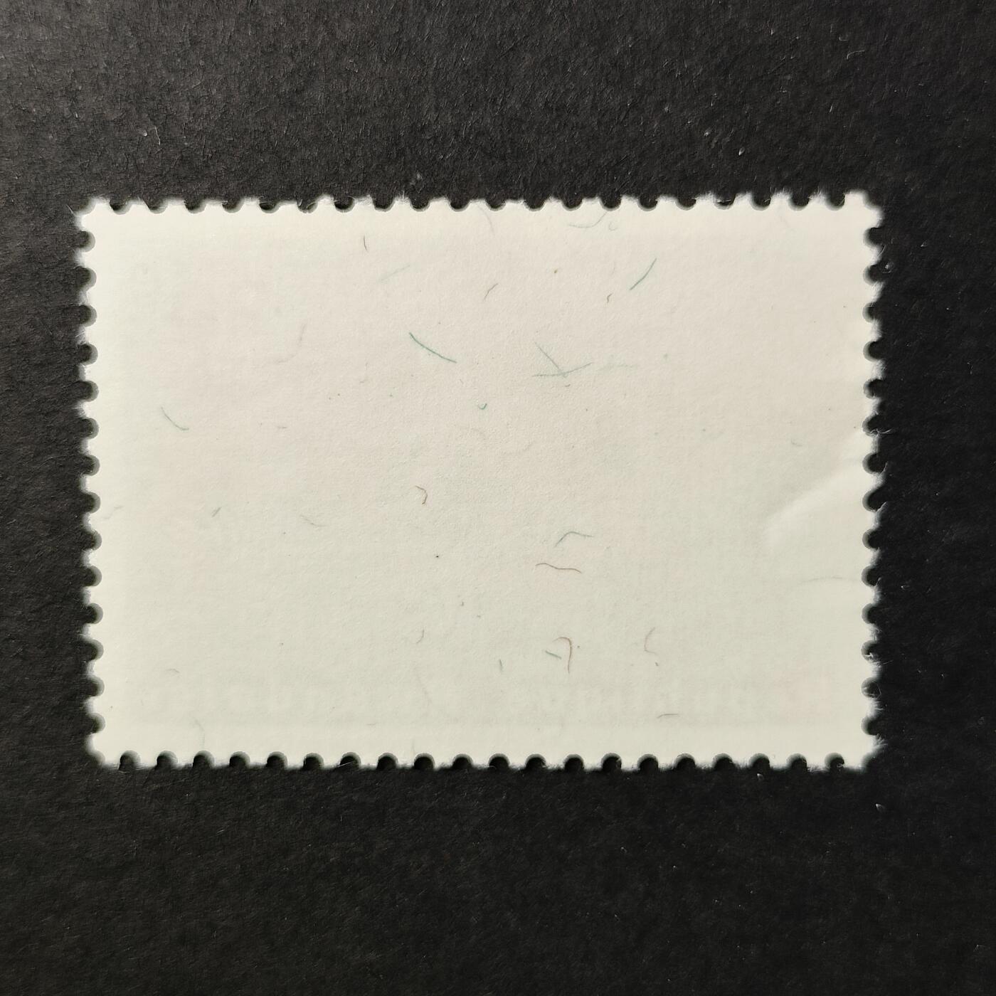 嘉禾收藏    【第398期】            无佣金、可寄存、满30元包邮 新票一枚