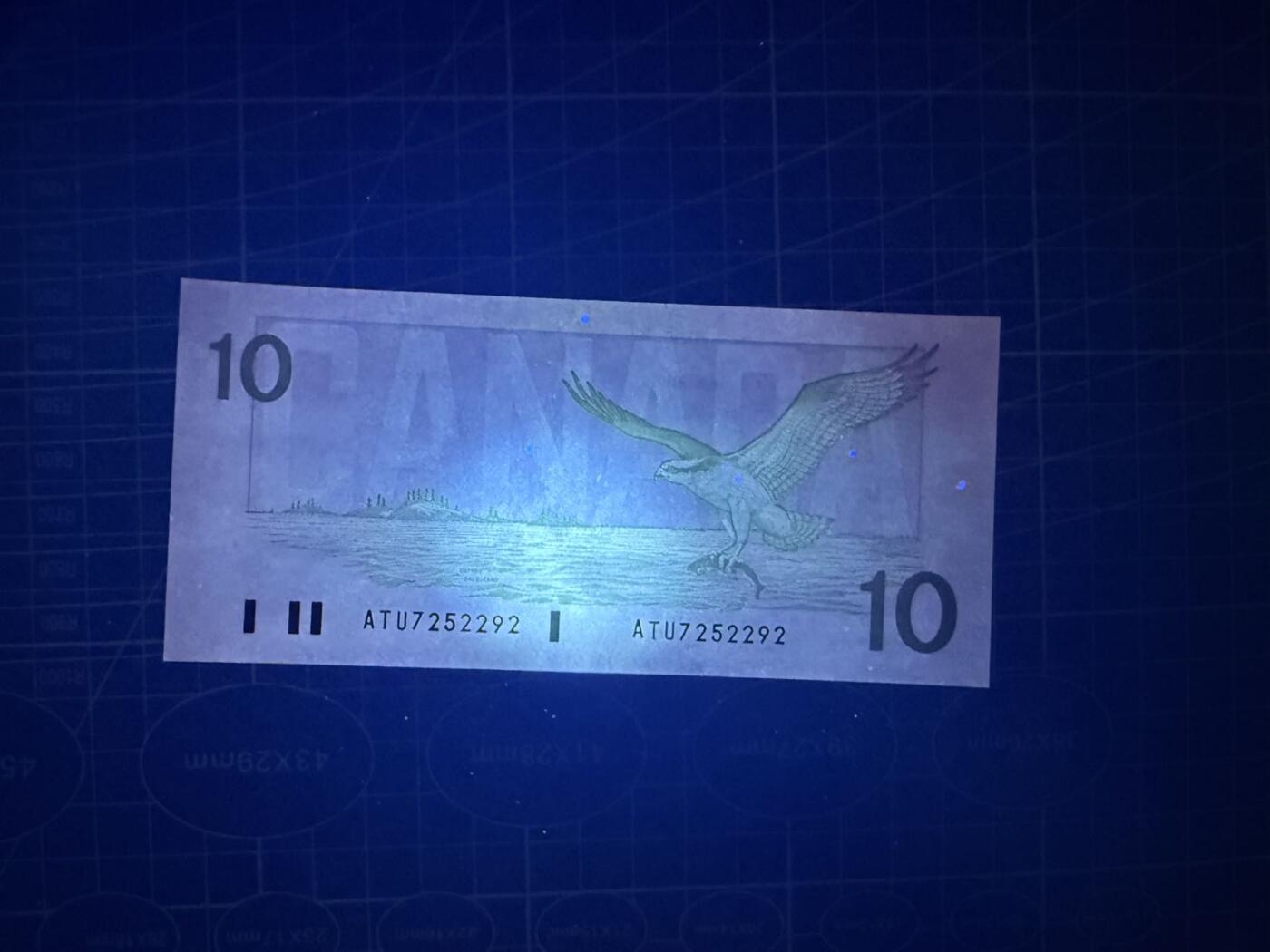 【炜奕收藏】，第五十二期