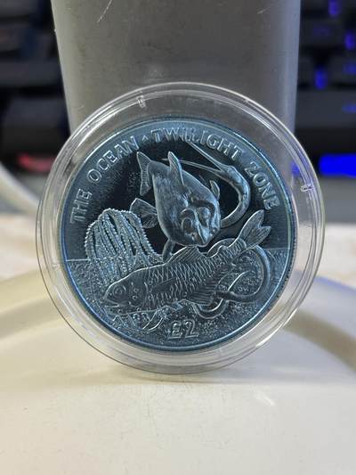 第184期拍卖 - 南乔治亚与南桑威奇群岛 2016 2磅 海洋-暮光区 青钛币 10g 36.1mm 发行量7500枚 市场价350