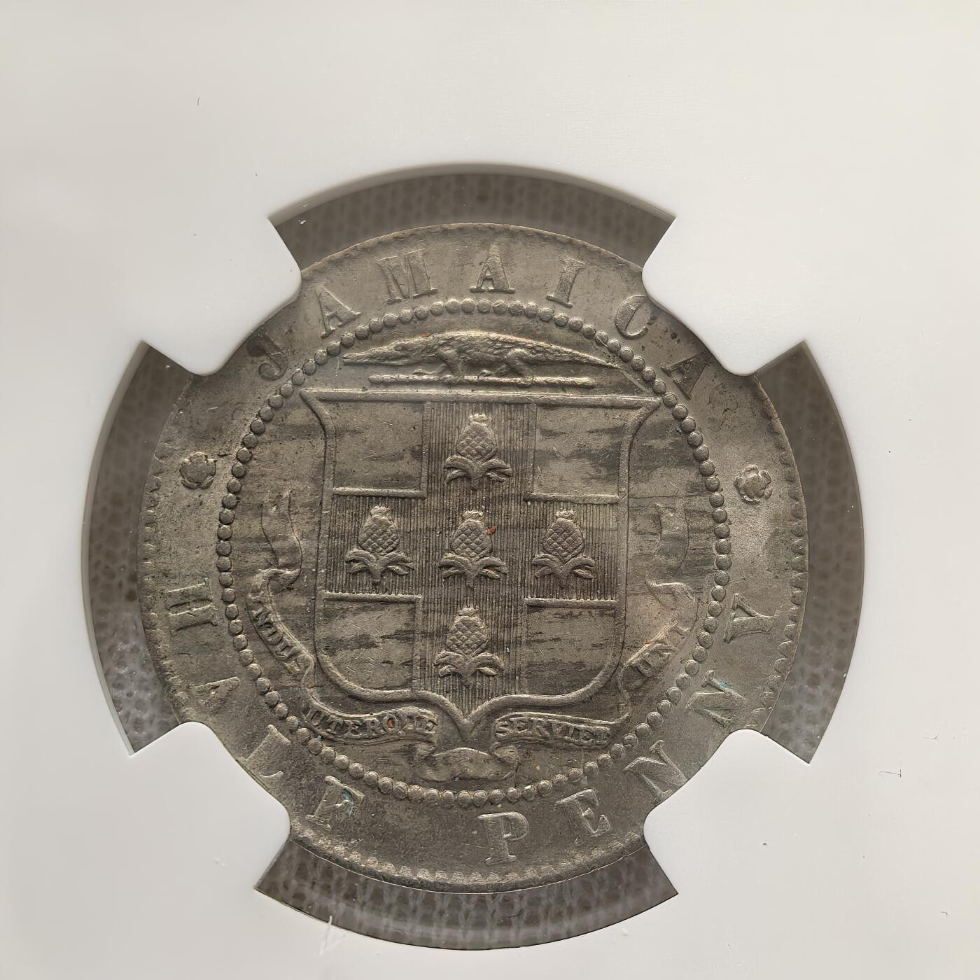 道一币馆币章第一百五十八场 NGC MS62 英属牙买加1916年乔治五世1/2便士铜镍币