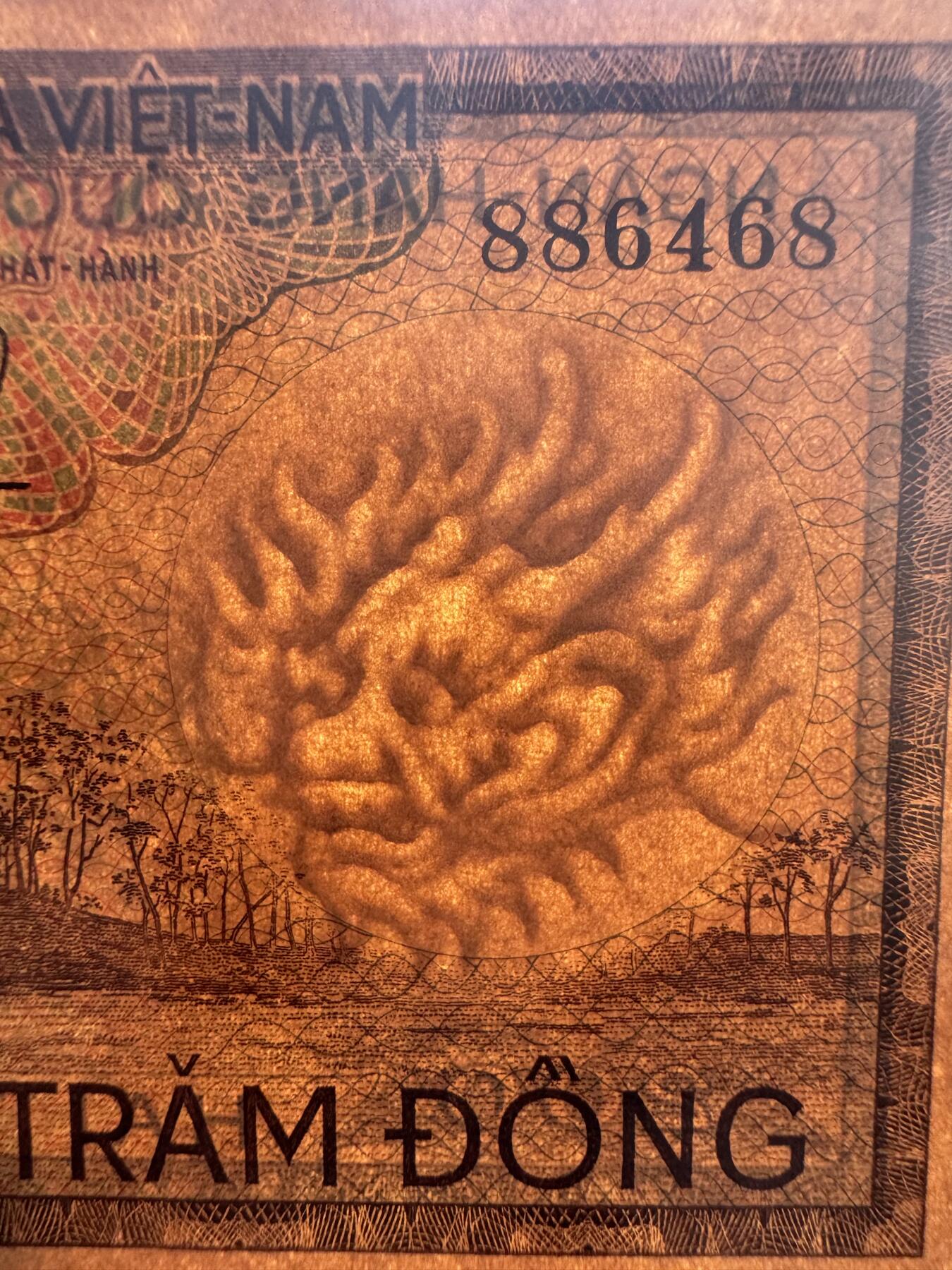 2025第25场（总第225期）：精品测试钞、塑料钞、纪念券、外钞综合场 越南/南越1966年版200盾^龙头水印（旧品如图）数三886468