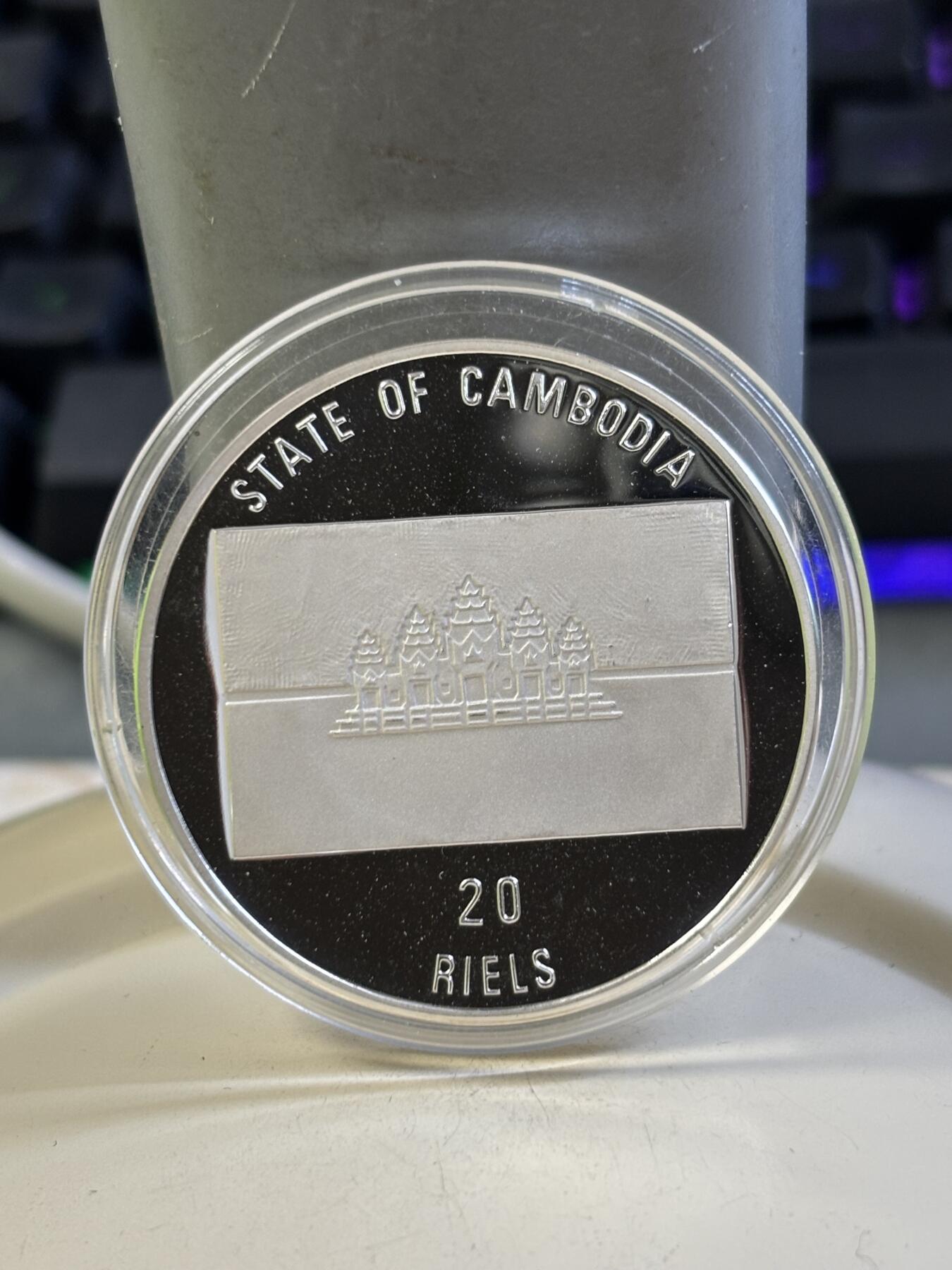 第184期拍卖 柬埔寨1993年拯救地球系列巨犀精制纪念银币，999银，16克