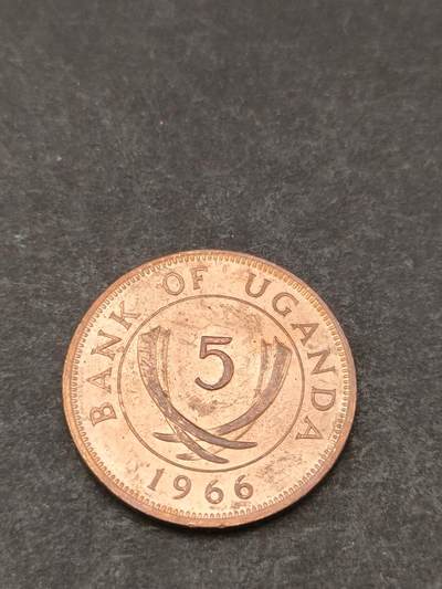 猩哥外币小铺➨【第205场】 - 非洲