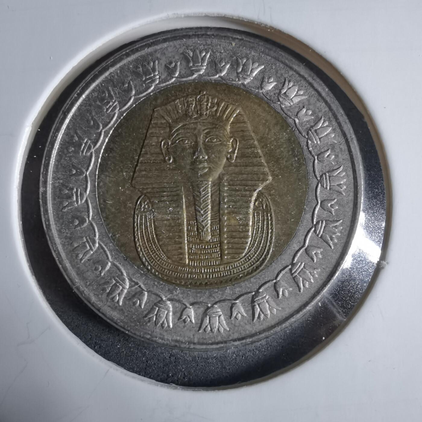 沼泽如烟--第923场