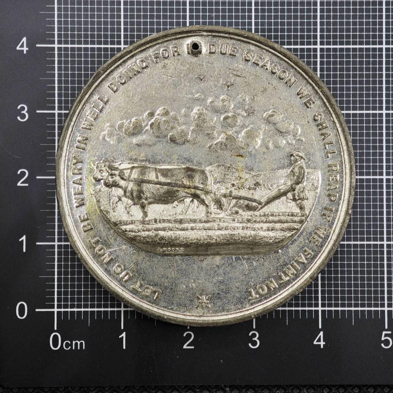 【淘币小摊】限时拍第八百二十三拍  纪念章场  满百包邮可预留两周  周一统一发货   英国利物浦学区出勤与品行奖章