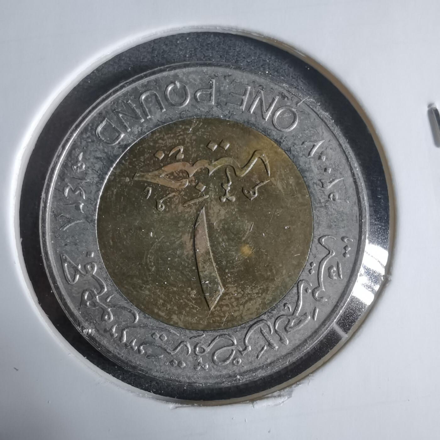 沼泽如烟--第923场