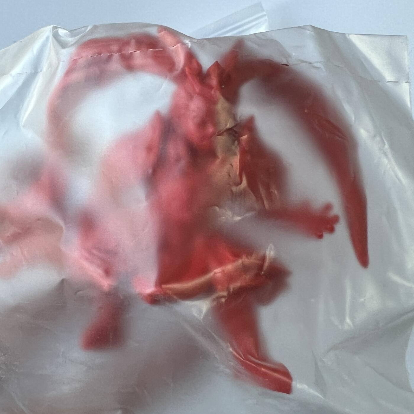 锦色铺子的潮玩拍第六期🌸🌸  