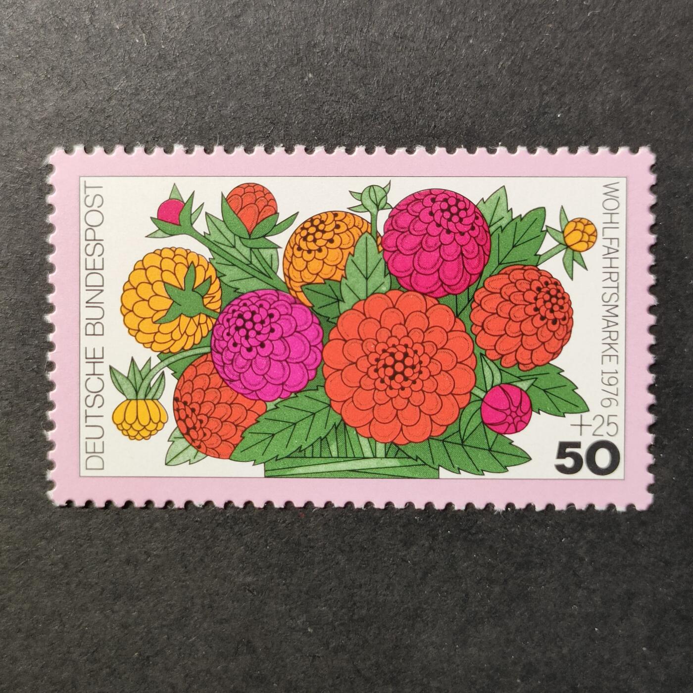 嘉禾收藏    【第398期】            无佣金、可寄存、满30元包邮 新票一枚