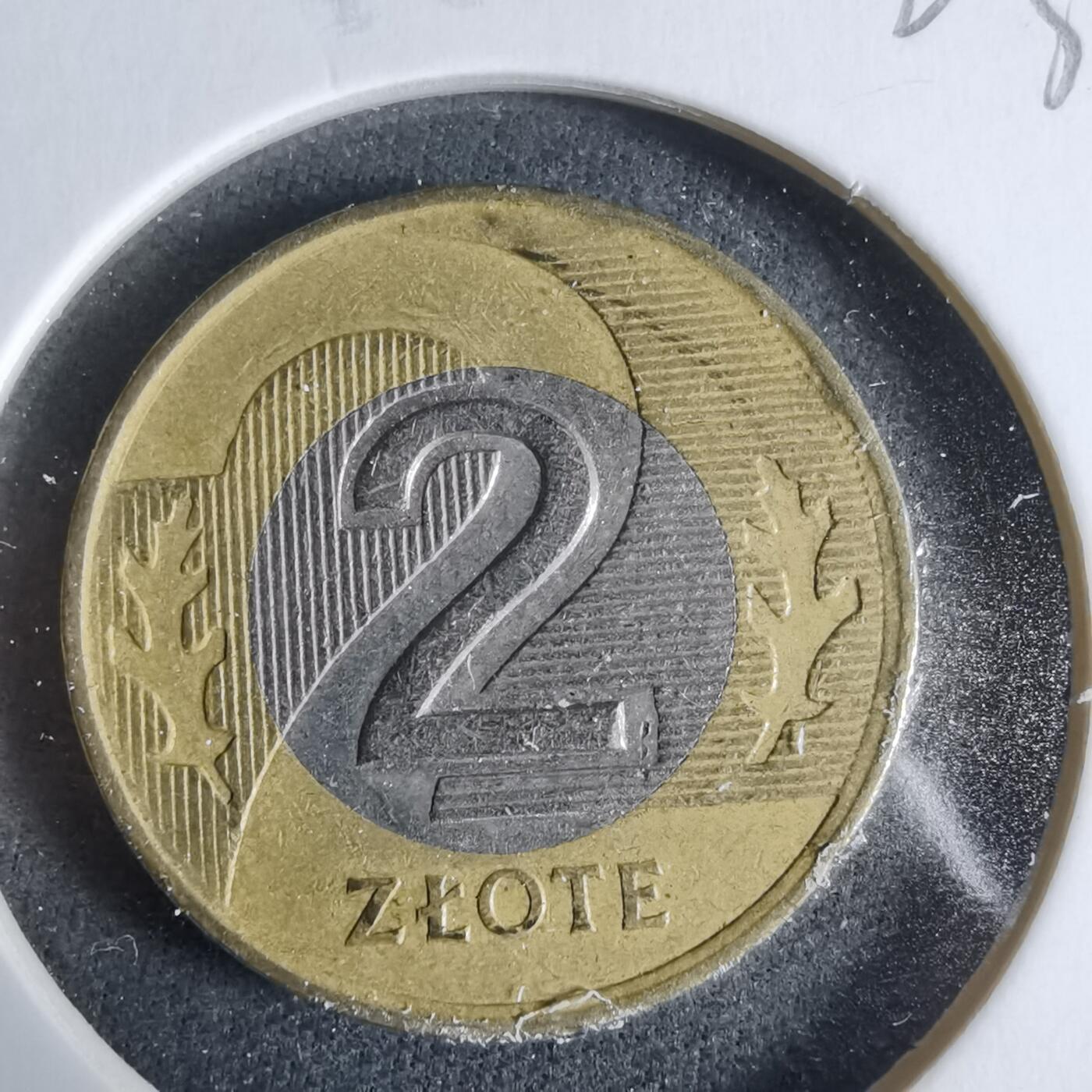 沼泽如烟--第923场