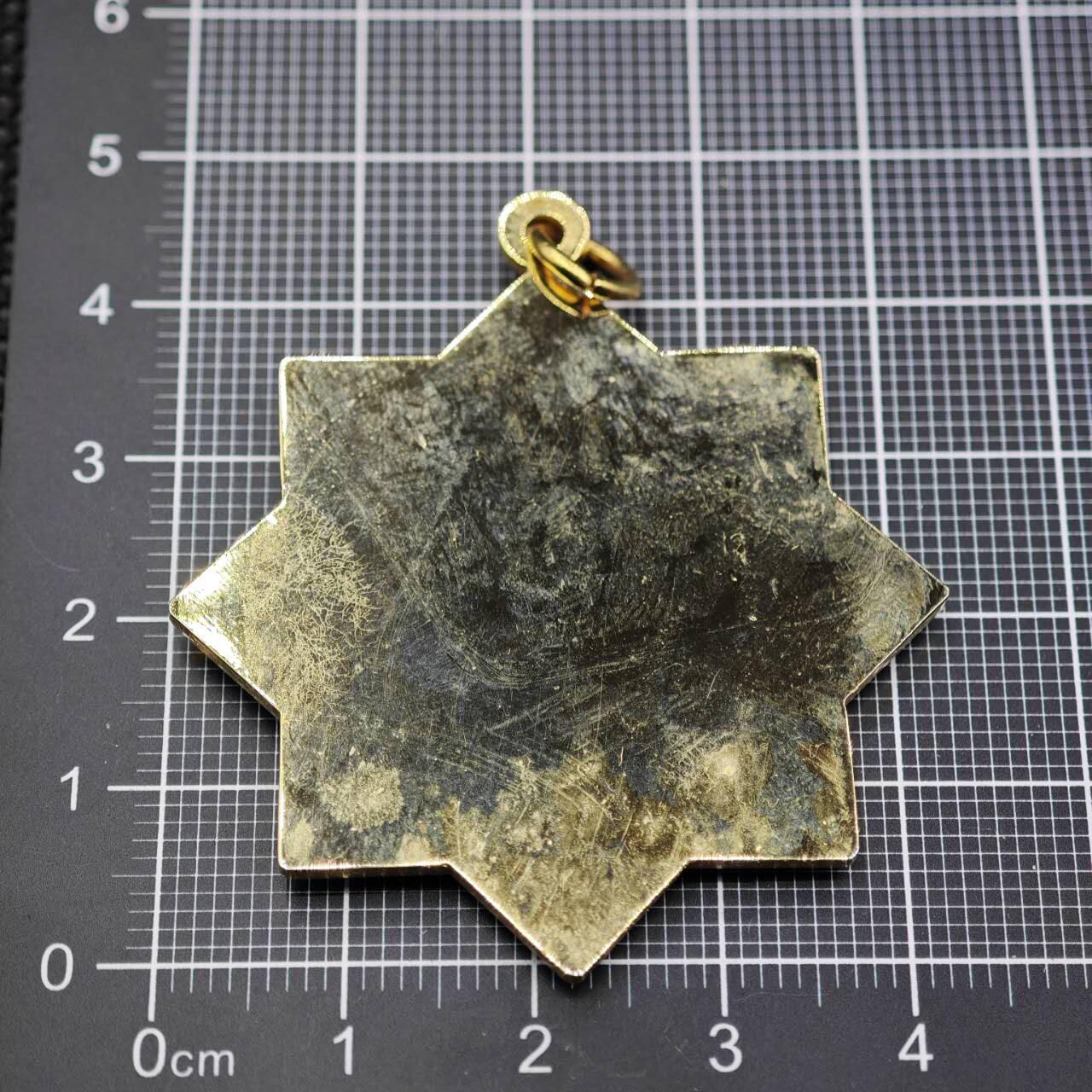 【淘币小摊】限时拍第八百二十三拍  纪念章场  满百包邮可预留两周  周一统一发货   萨默塞特与多塞特养兔爱好者协会纪念章：