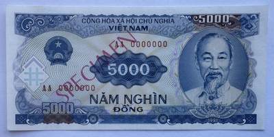 2025第25场（总第225期）：精品测试钞、塑料钞、纪念券、外钞综合场 - 票样Specimen 越南1991年版5000盾UNC