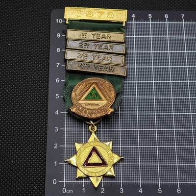 【淘币小摊】限时拍第八百二十三拍  纪念章场  满百包邮可预留两周  周一统一发货  -  英国安全驾驶竞赛奖章