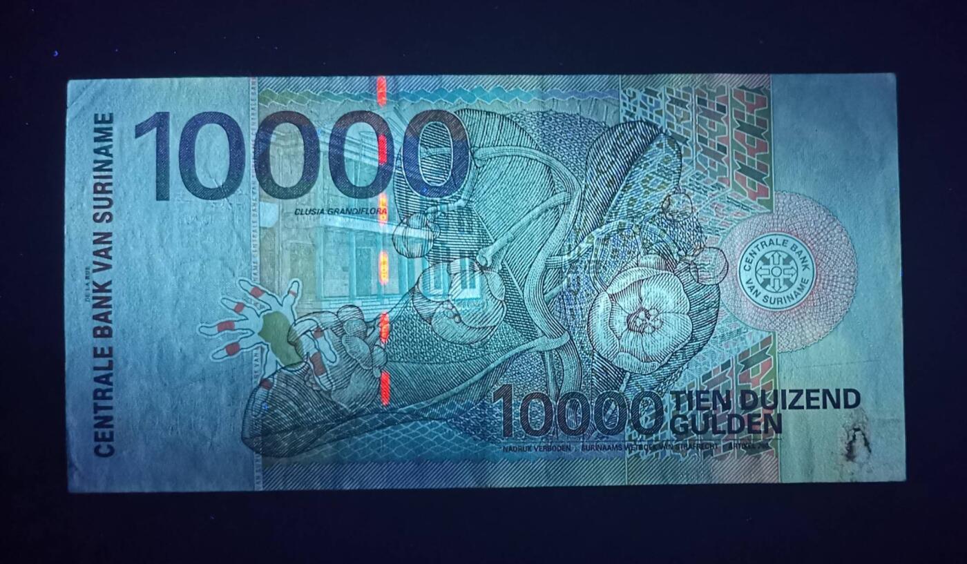 《艾美收藏》第223期-12.7周日外币畅拍 苏里南2000年10000盾高值流通好品 经典花鸟版