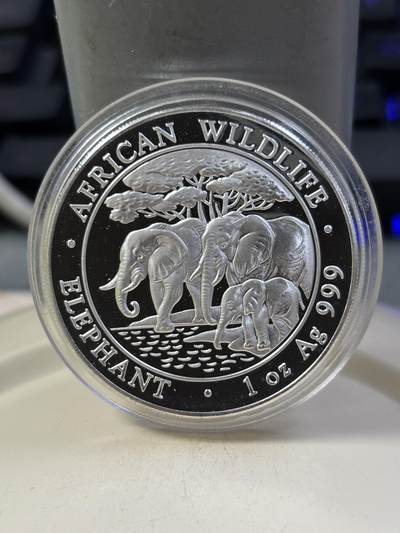 第184期拍卖 - 索马里2013年世界投资银币系列大象1盎司纪念银币，999银