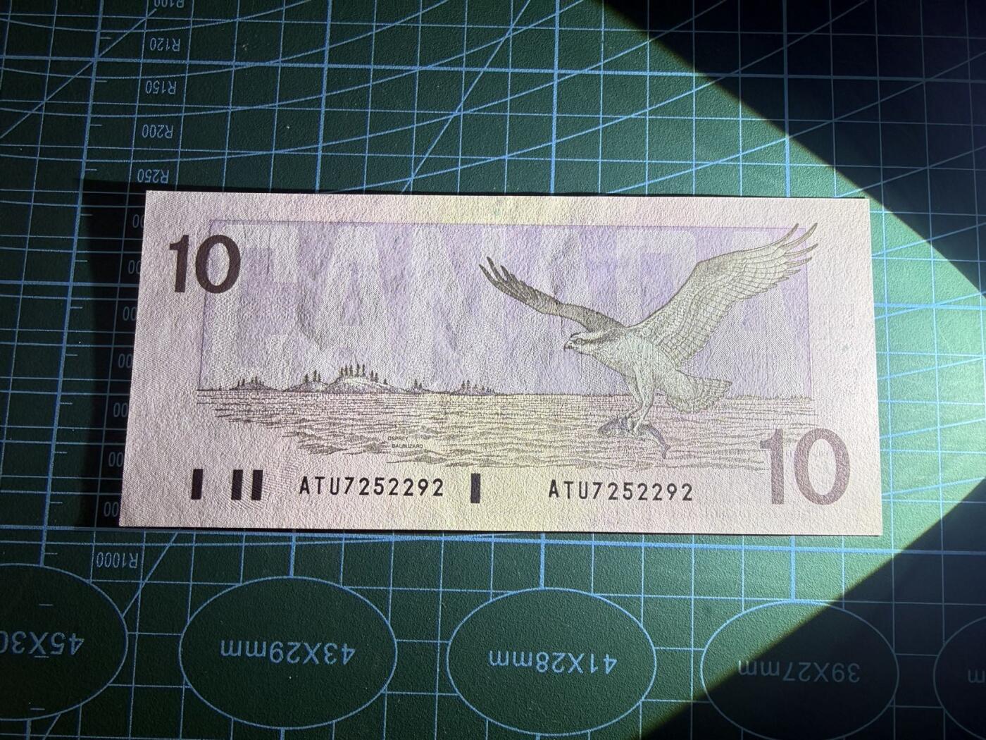 【炜奕收藏】，第五十二期