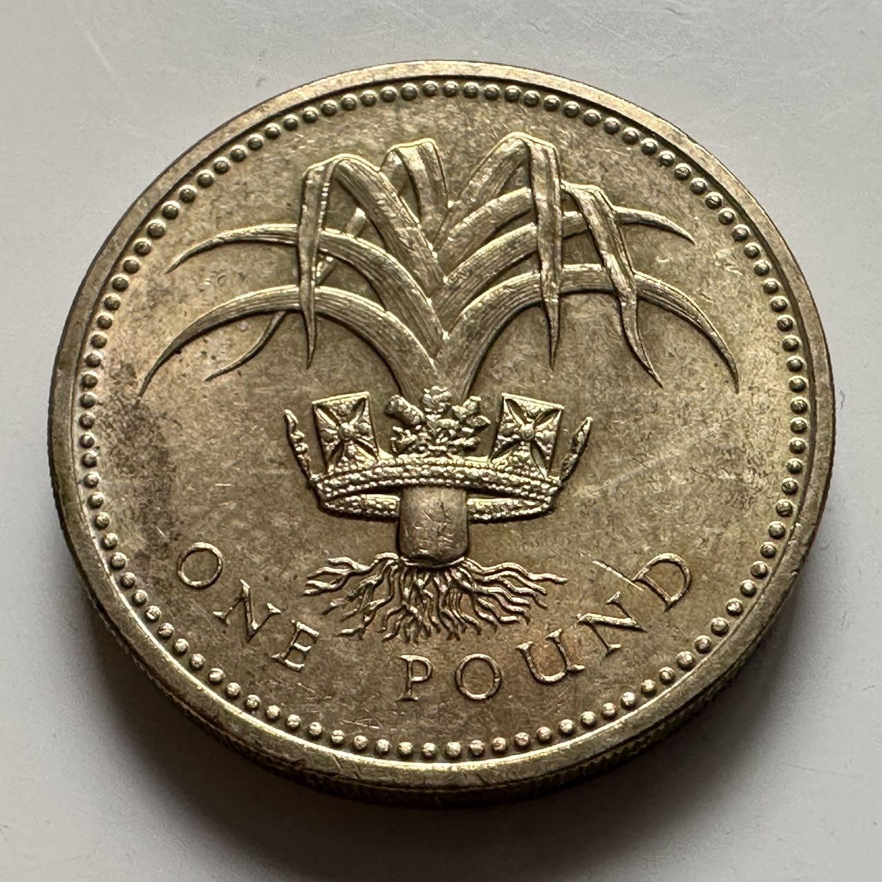 🌹外币初藏🌹🐯2025年第137场  每周二四六晚8️⃣点 接代拍 英国1990年一英镑