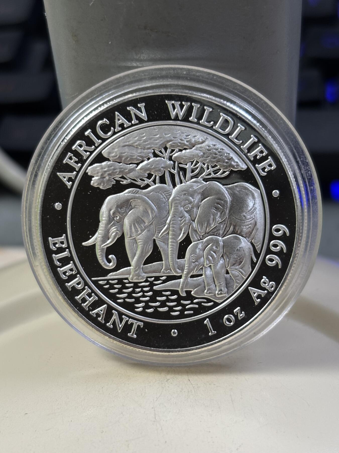 第184期拍卖 索马里2013年世界投资银币系列大象1盎司纪念银币，999银