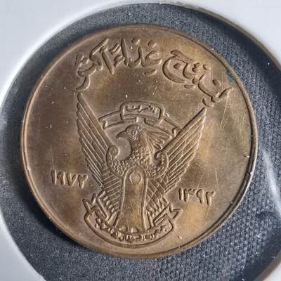 沼泽如烟--第923场 - 苏丹