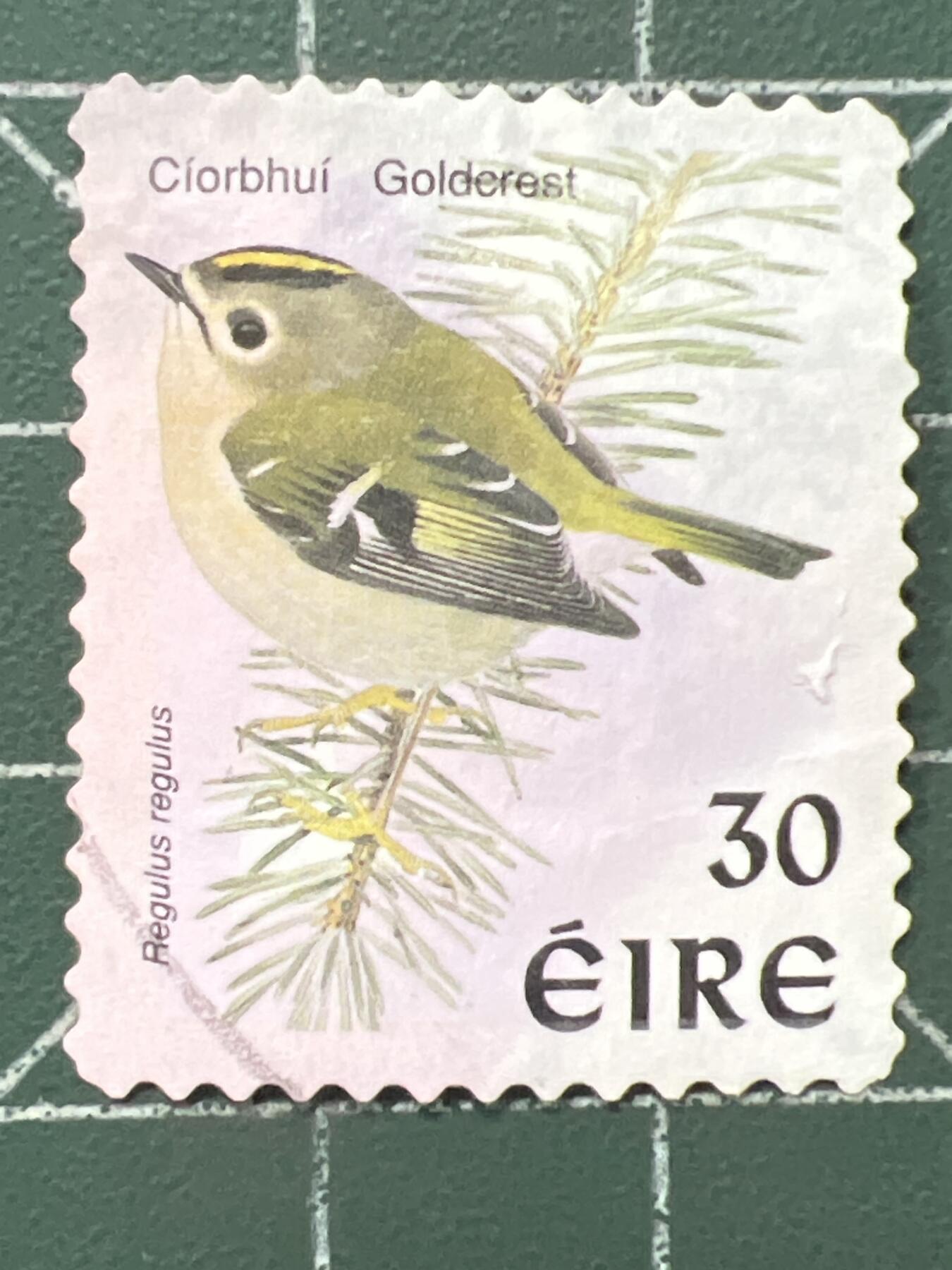 第1067 邮票专场 （无押金，捡漏，全场50包邮，偏远地区除外，接收代拍业务，本店十天发一次货） 爱尔兰邮票