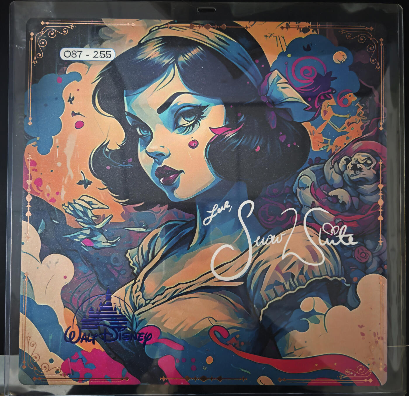 琦卡当当铺≯第24期★★各种小漏~支持寄存★★~【9点40结束】扫码加群抽[包邮券]~周二结束 BIG ONE 迪士尼  迪士尼大卡（29X29）-磨砂面带卡夹-暗黑白雪公主-超美-1个