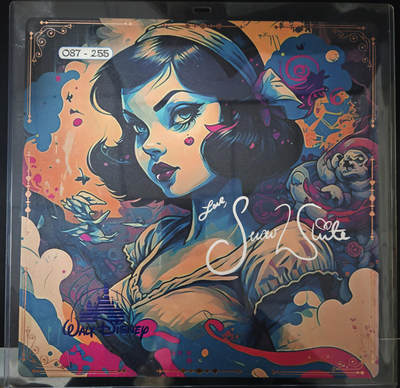 琦卡当当铺≯第24期★★各种小漏~支持寄存★★~【9点40结束】扫码加群抽[包邮券]~周二结束 - BIG ONE 迪士尼  迪士尼大卡（29X29）-磨砂面带卡夹-暗黑白雪公主-超美-1个