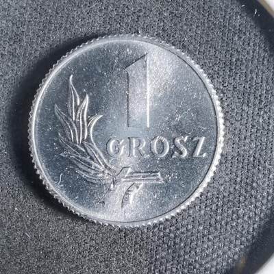 沼泽如烟--第923场 - 波兰1949年1格罗申