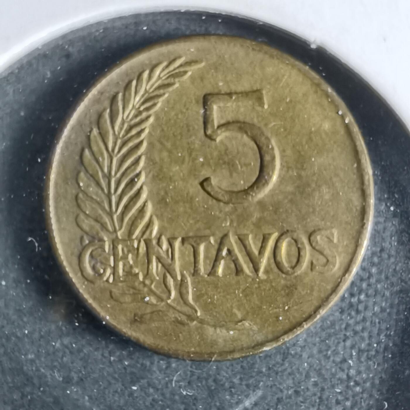 沼泽如烟--第923场