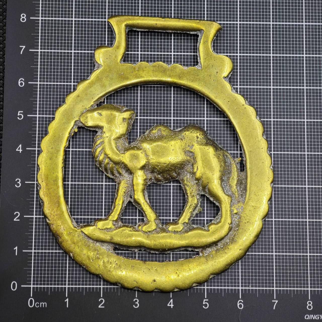 【淘币小摊】限时拍第八百二十三拍  纪念章场  满百包邮可预留两周  周一统一发货   骆驼铜章