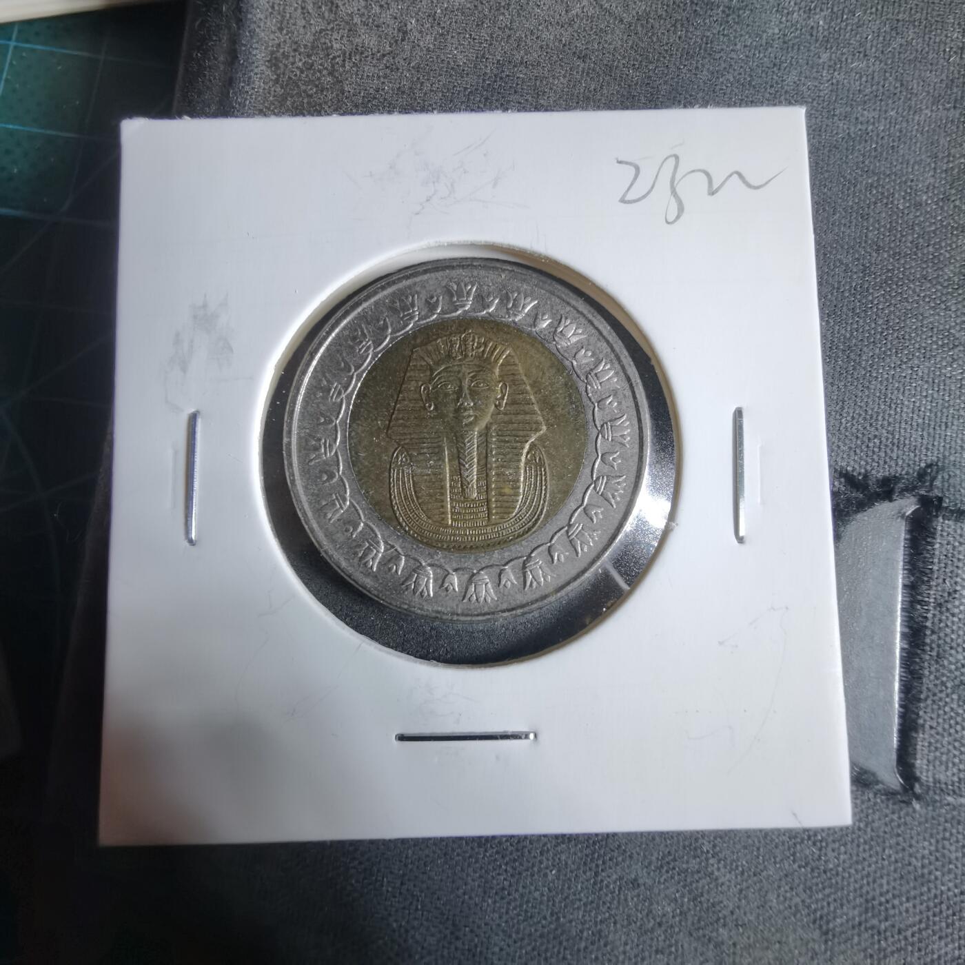 沼泽如烟--第923场