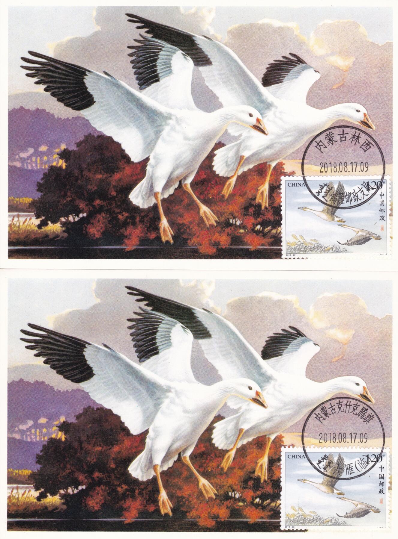 12月11日（周四）20:00中国大陆（兔年大小版） 香港首日实寄封专场 2018中国大陆《大雁》内蒙古双原地首日自然极限片 一套2枚