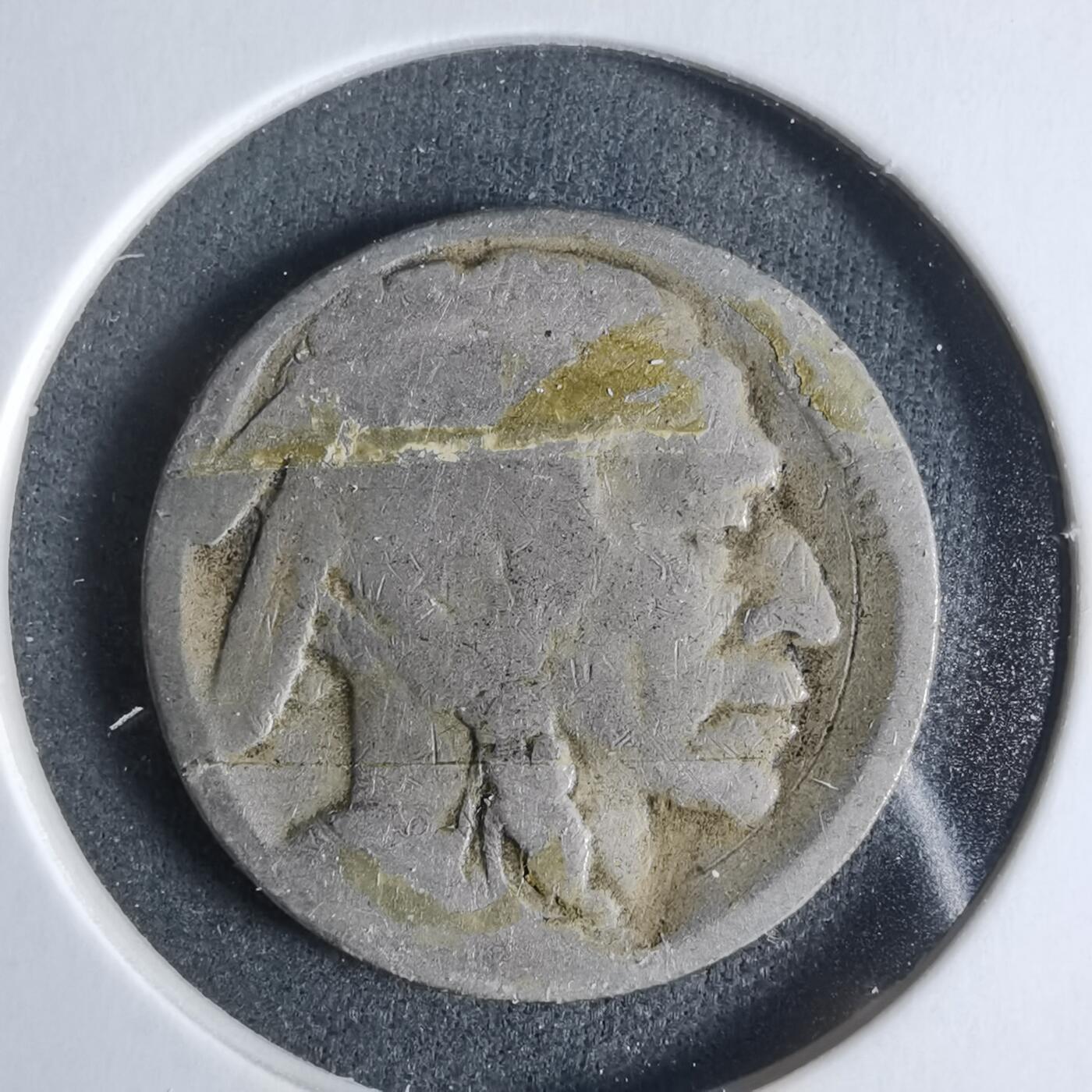 沼泽如烟--第923场 美国野牛五分