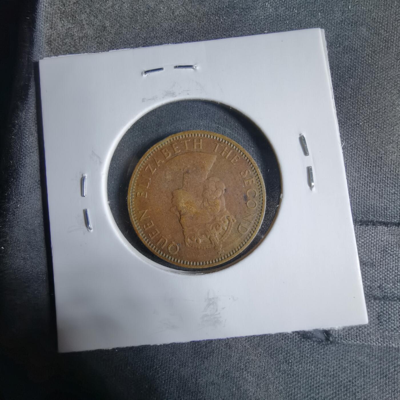 沼泽如烟--第923场