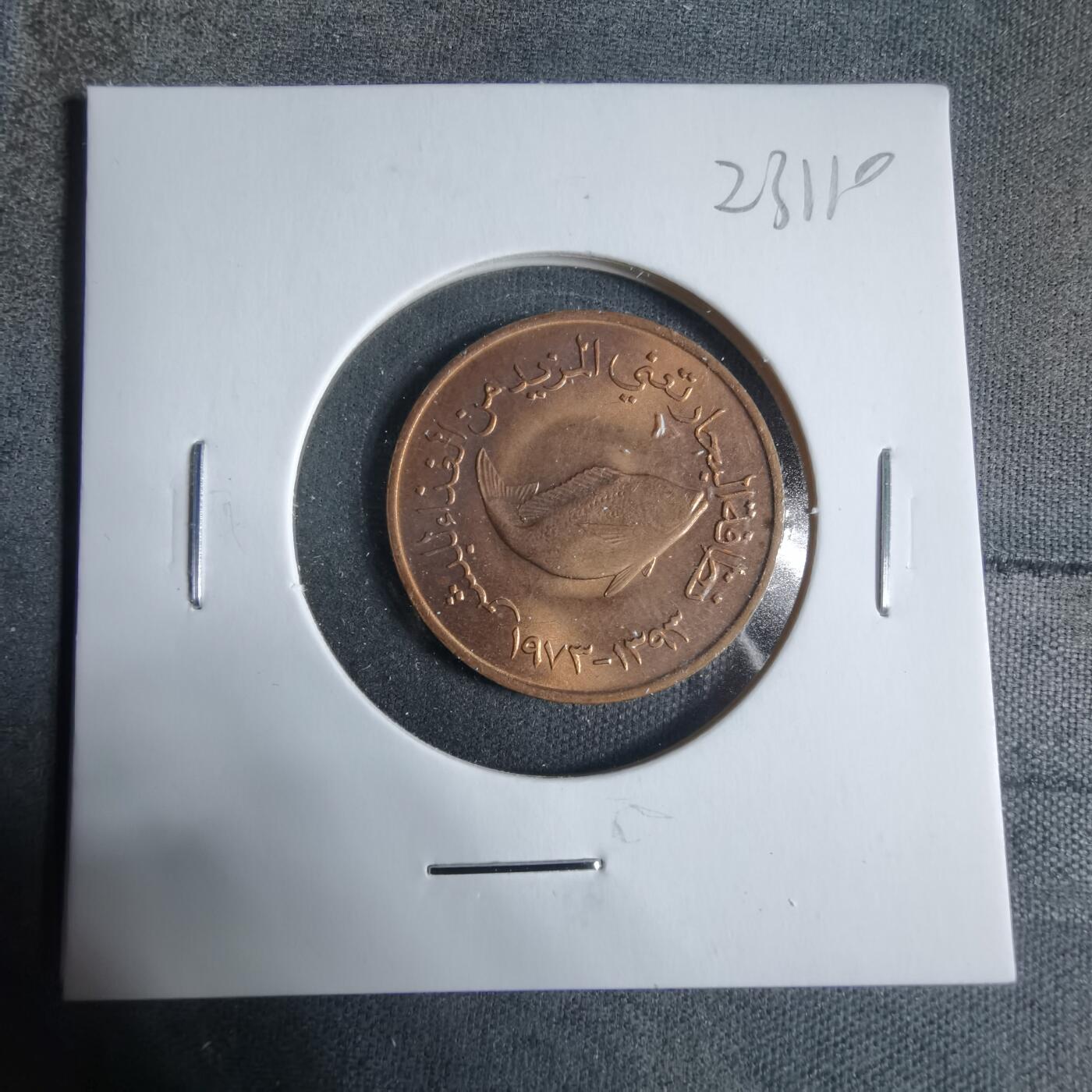 沼泽如烟--第923场 阿联酋