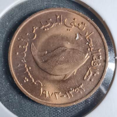 沼泽如烟--第923场 - 阿联酋