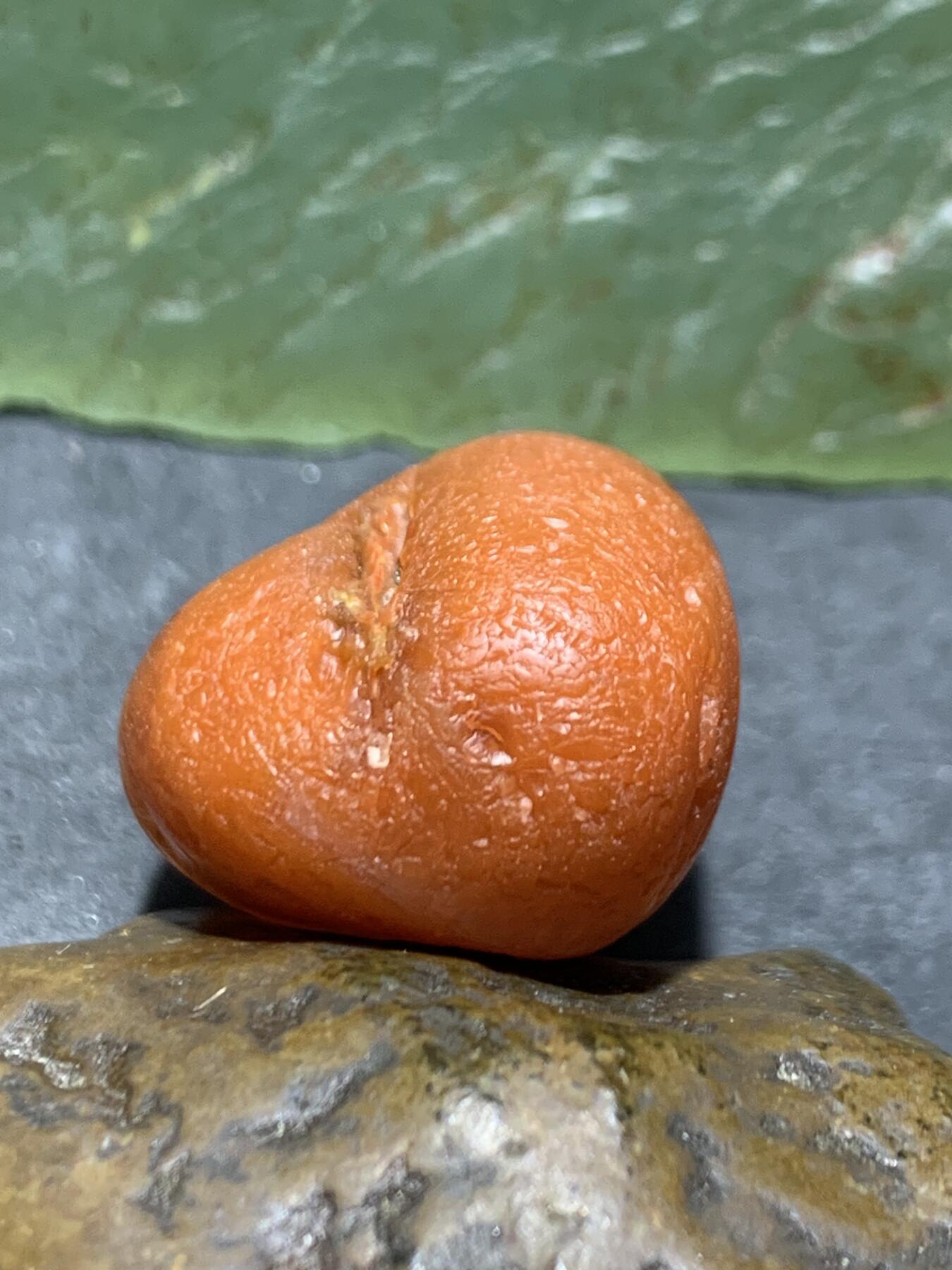 精美水冲籽红白川料南红玛瑙原石一颗，