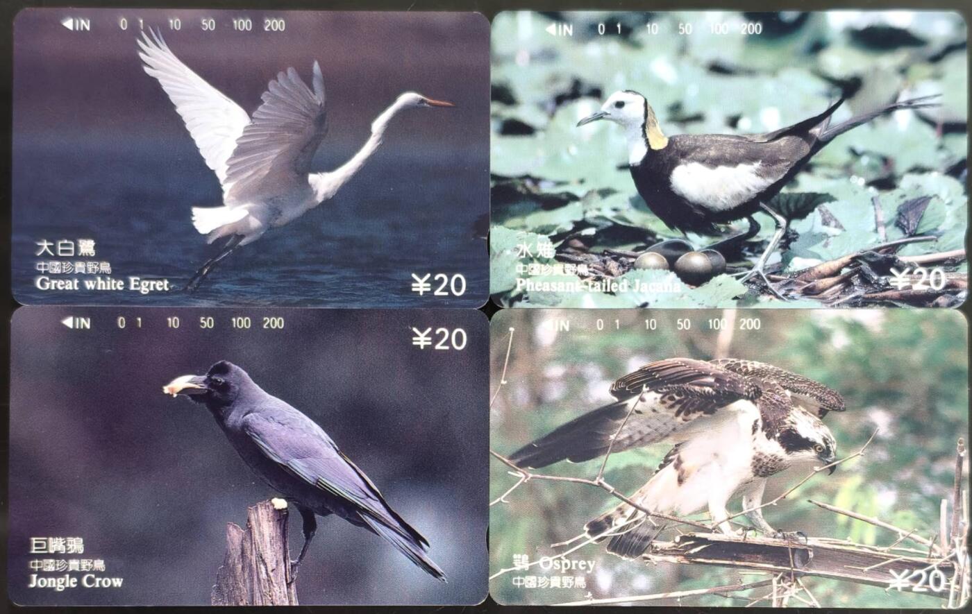 公藏第59期裸卡拍卖 重庆田村新卡【中国珍贵野鸟】4全品相钢印码见描述。