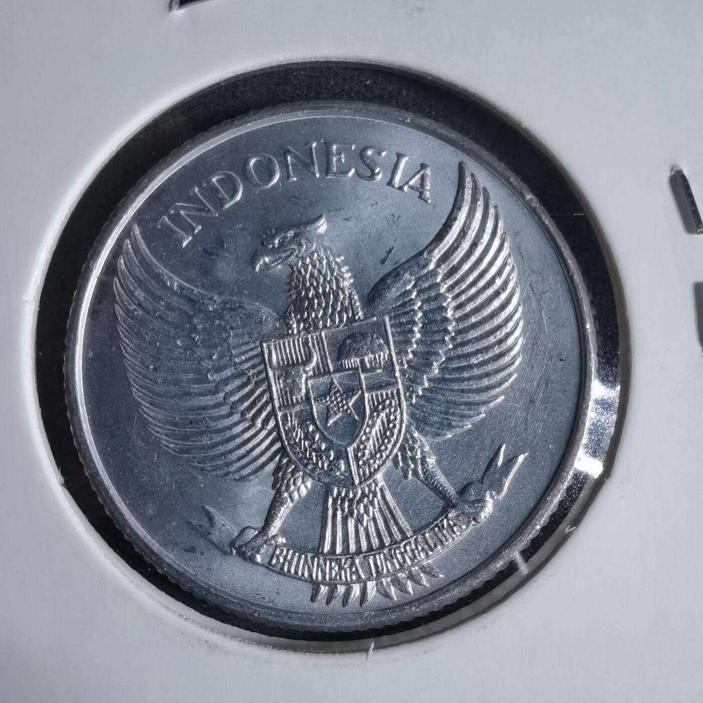 沼泽如烟--第923场 印度尼西亚1955年25分