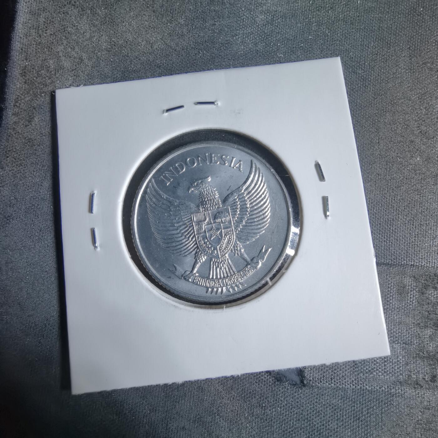 沼泽如烟--第923场 印度尼西亚1955年25分