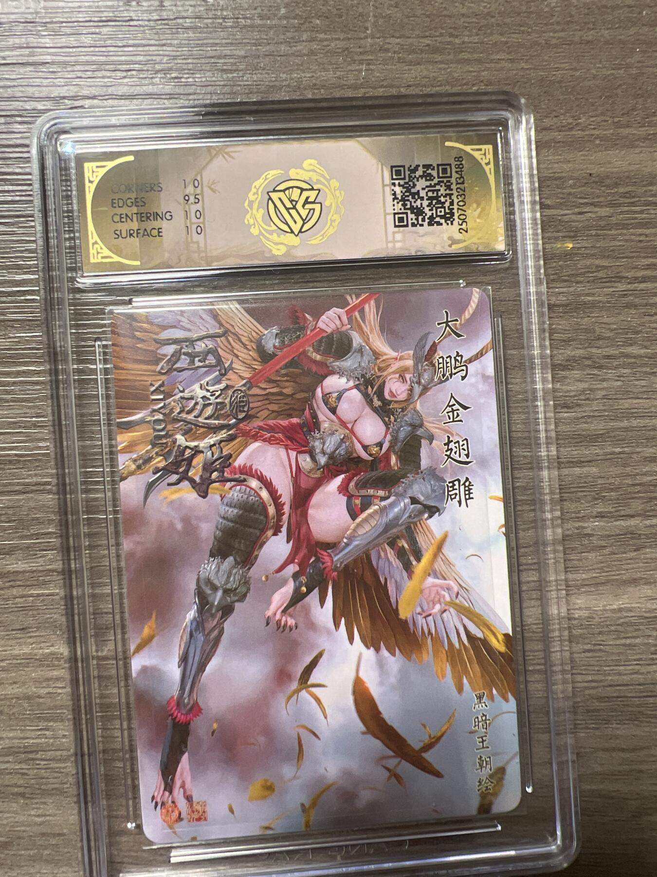 阳大大卡牌拍卖第86期（持续收拍品，周六晚上九点截拍，进群福利早知道） 焱卡文化 西游姬 大鹏金翅雕 炫彩  10分