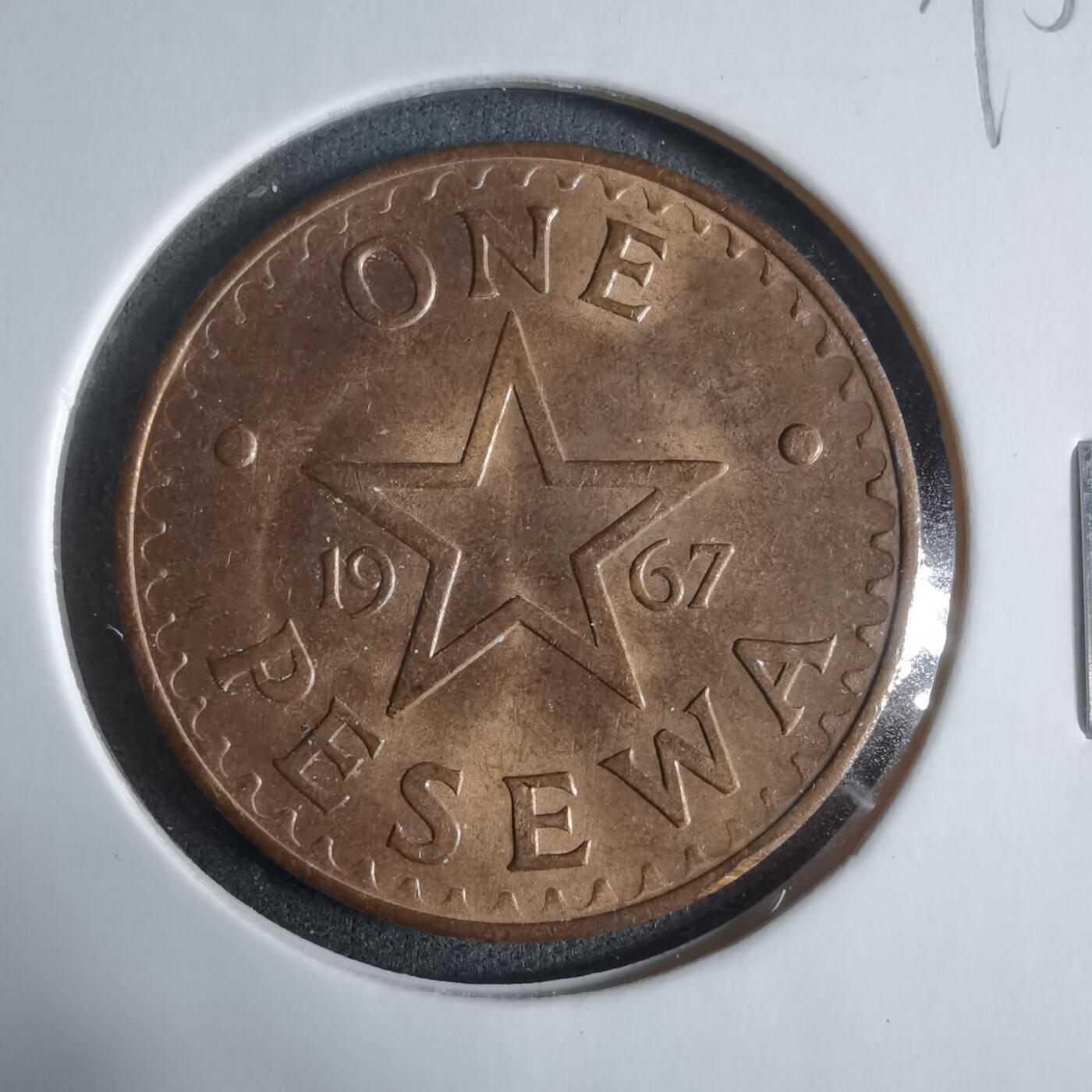 沼泽如烟--第923场