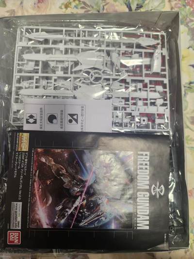 高达手办 万代 MG 1/100 自由2.0  Freedom SEED加点厂合金骨架