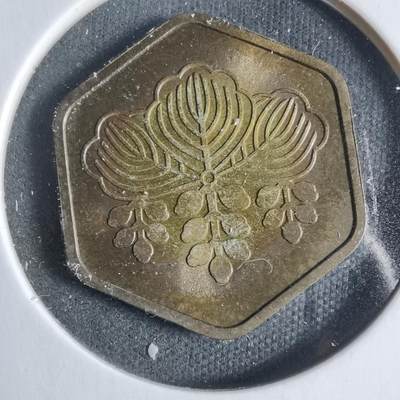 沼泽如烟--第923场 - 1986年桐叶牌