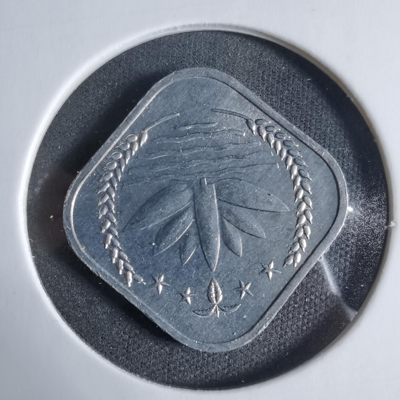 沼泽如烟--第923场 孟加拉