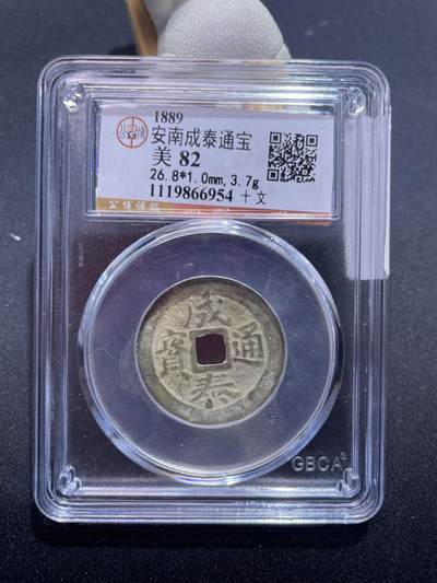 捡漏专场 - 安南成泰通宝