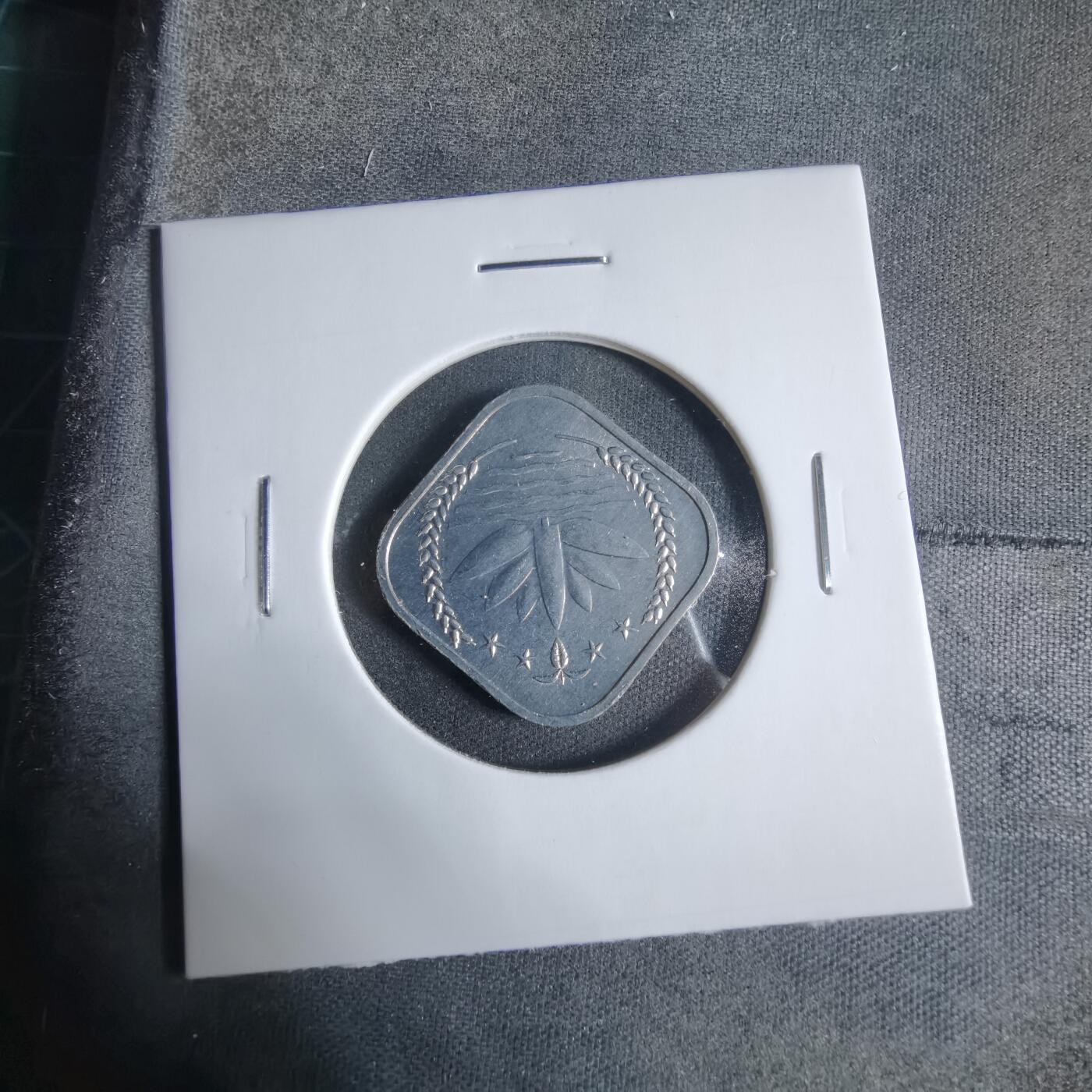 沼泽如烟--第923场 孟加拉