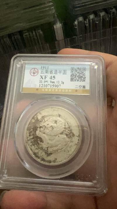 云南半圆龙一枚 - 云南半圆龙一枚