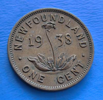 外国优质老铜币高银银币，周六九点倒数截拍，满百包邮，持续收拍 - 纽芬兰1938年壹分